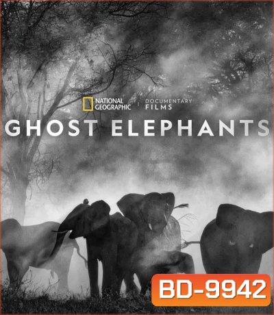 Ghost Elephants (2025)