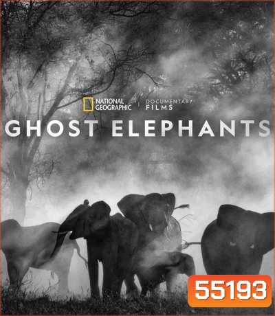 Ghost Elephants (2025)
