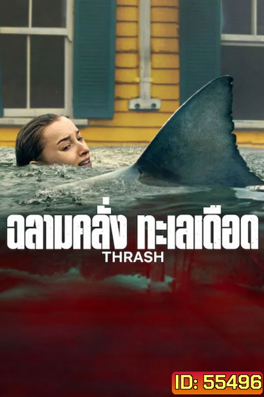Thrash (2026) ฉลามคลั่ง ทะเลเดือด