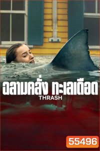Thrash (2026) ฉลามคลั่ง ทะเลเดือด