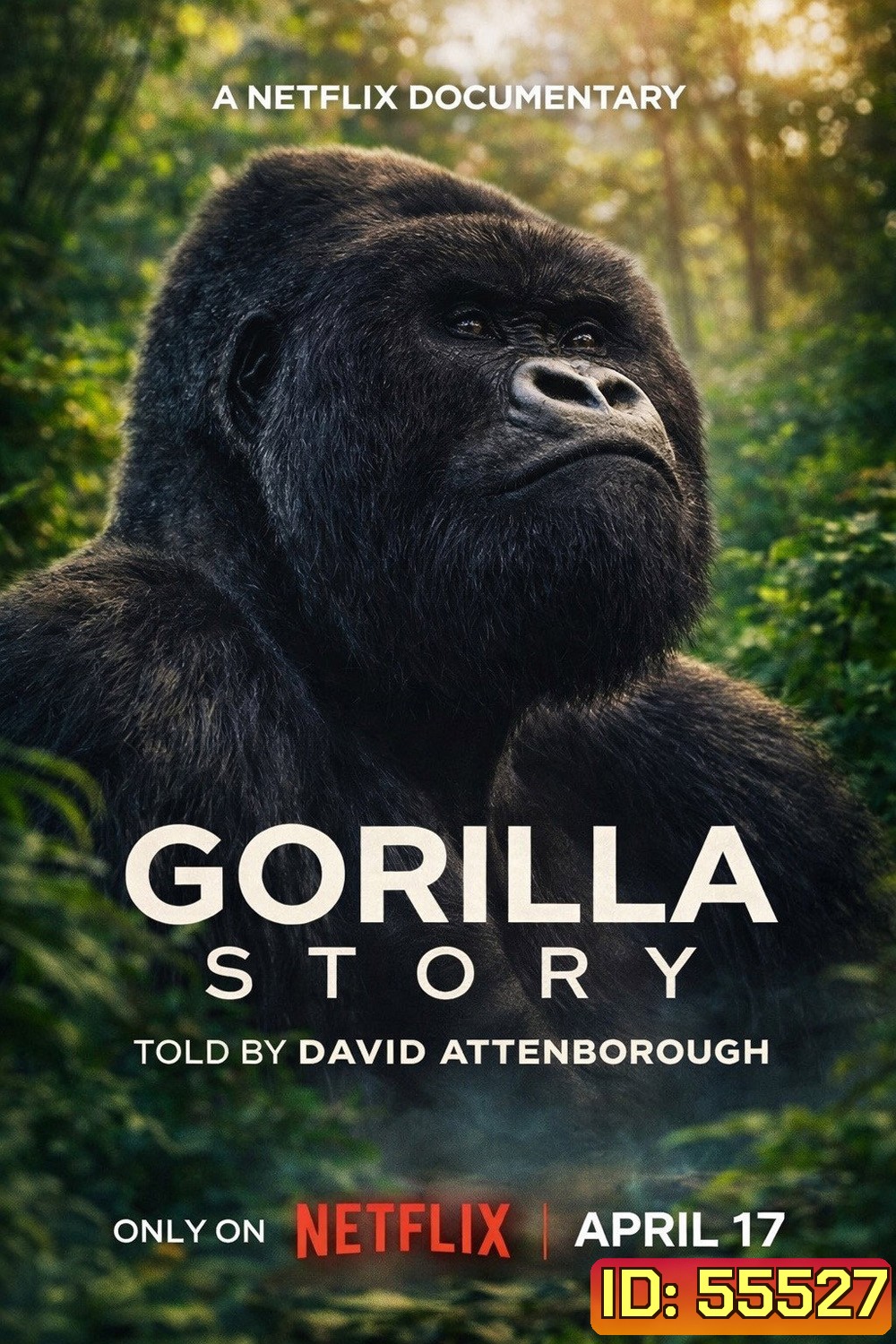 A Gorilla Story Told by David Attenborough (2026) เล่าเรื่องกอริลลา โดยเดวิด แอทเทนเบอเรอห์