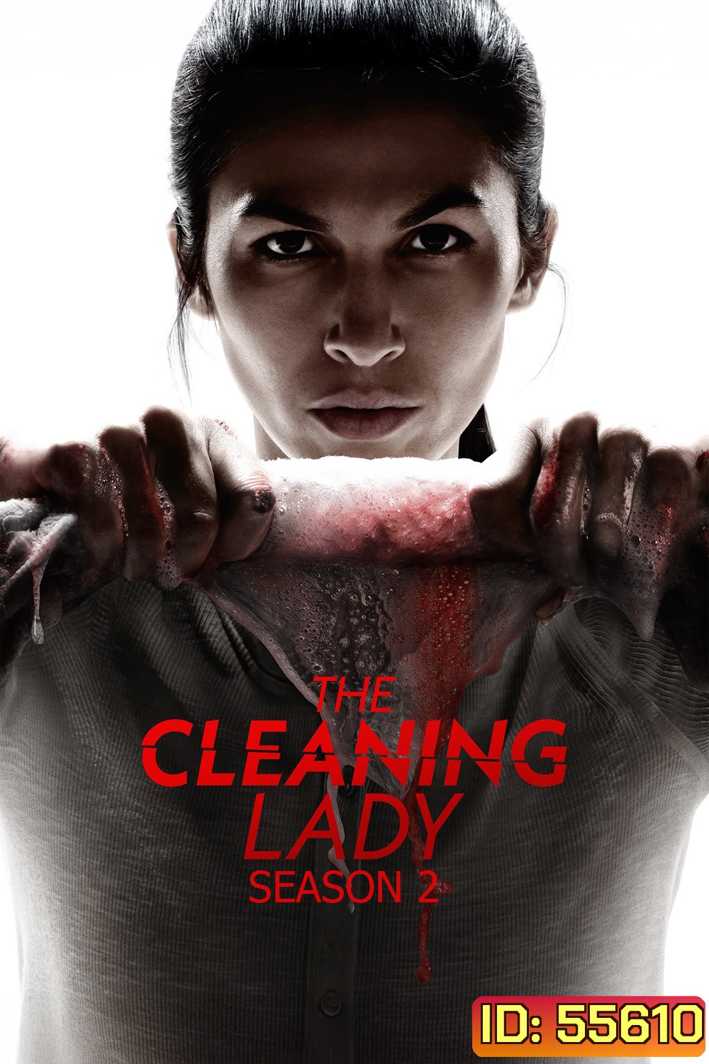 The Cleaning Lady Season 2 (2022) หญิงผู้ล้างรอยเลือด ซีซั่น 2 (12 ตอนจบ)