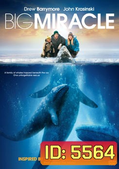 Big Miracle ปาฏิหาริย์วาฬสีเทา
