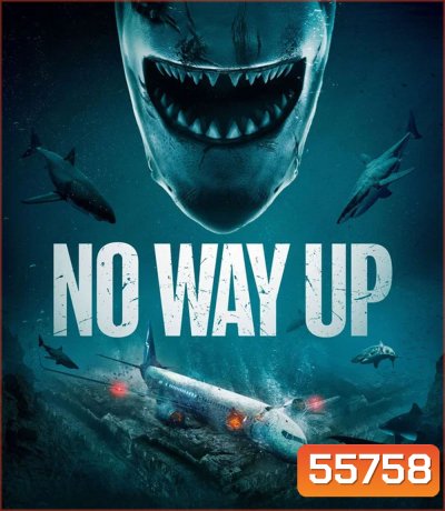 No Way Up (2024) งาบคลั่งไฟลต์