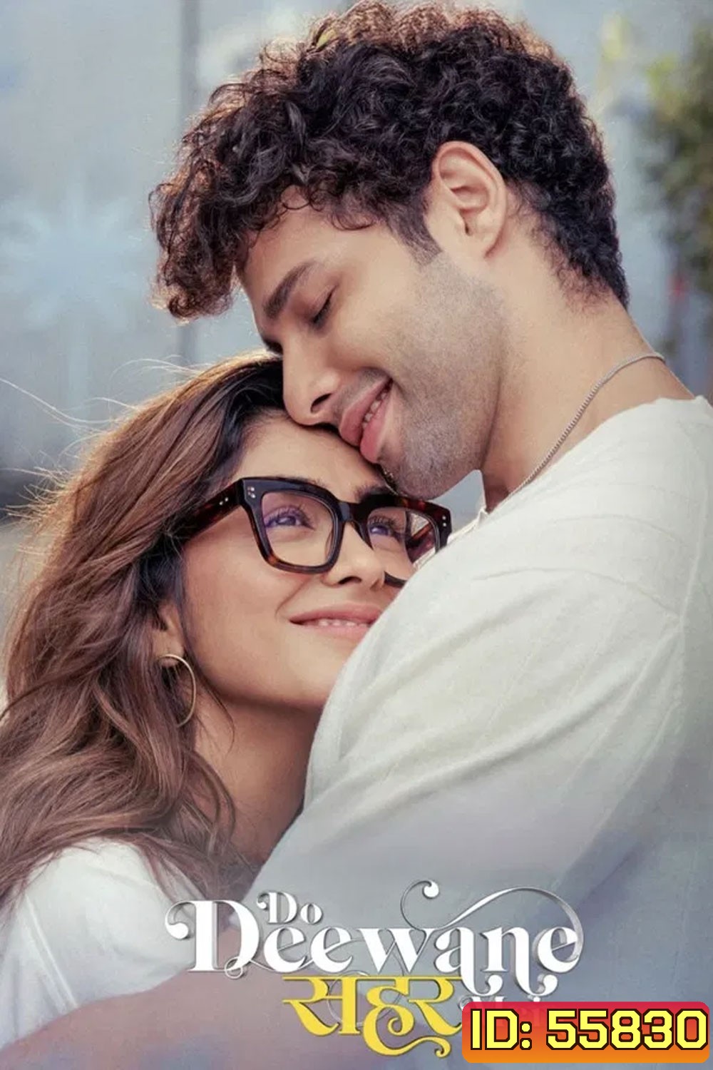 Do Deewane Seher Mein (2026) สองหัวใจในเมืองใหญ่