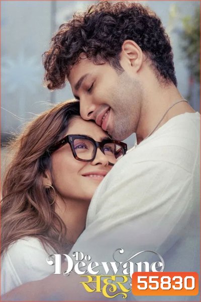 Do Deewane Seher Mein (2026) สองหัวใจในเมืองใหญ่