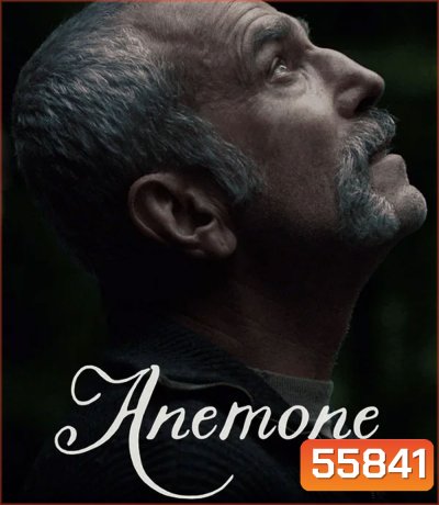 Anemone (2025) อะนีโมนี