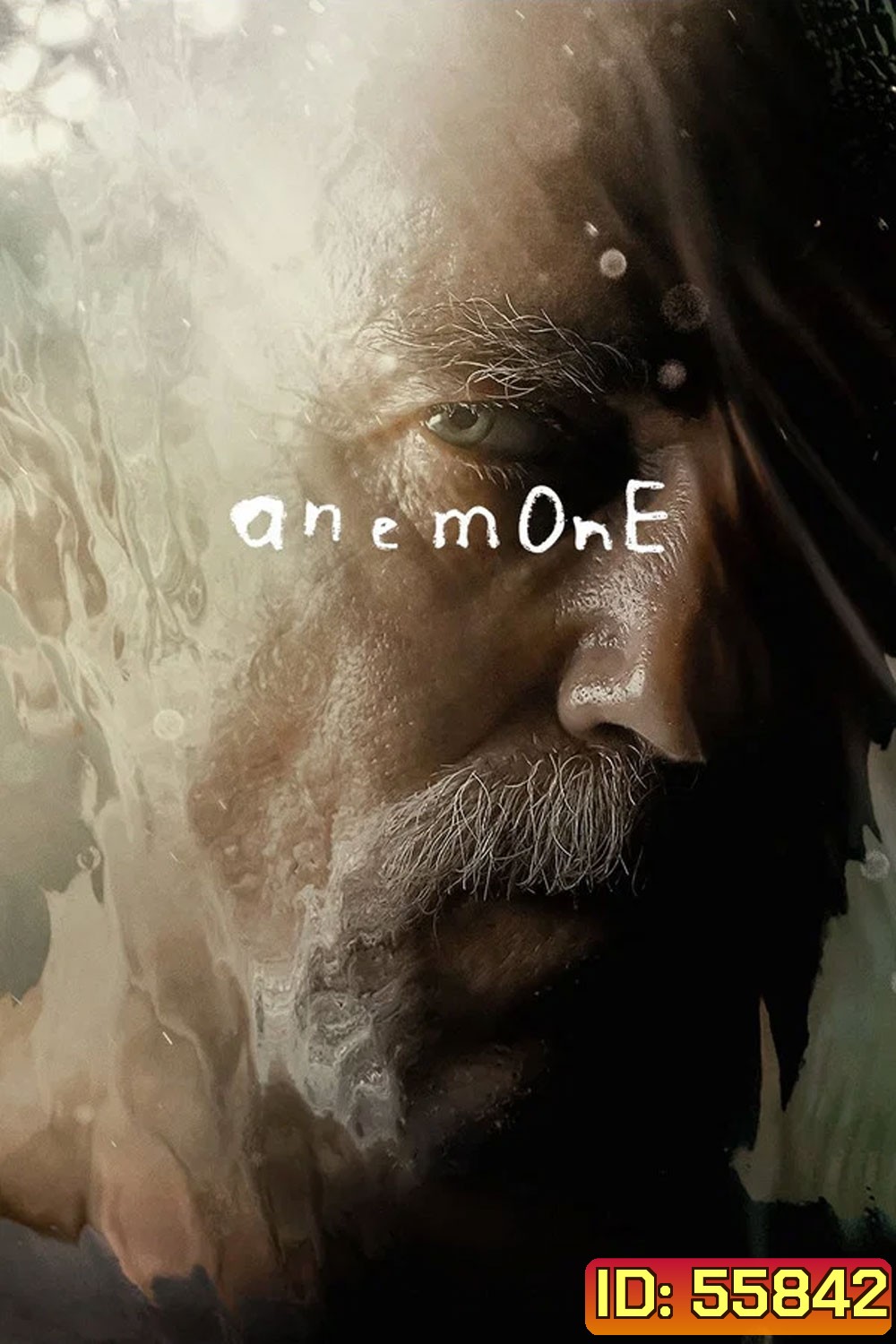 Anemone (2025) อะนีโมนี
