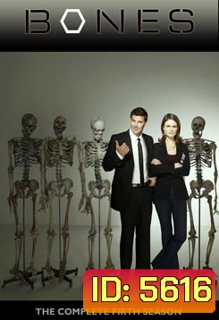 Bones Season 1 พลิกซากปมมรณะ ปี 1