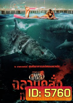 Jersey Shore Shark Attack ฉลามคลั่งทะเลเลือด