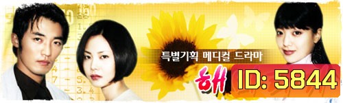 Sunflower ลิขิตฝันเดิมพันรัก