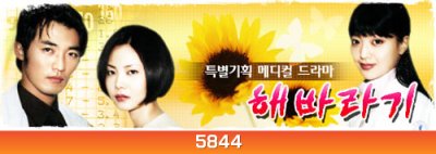 Sunflower ลิขิตฝันเดิมพันรัก