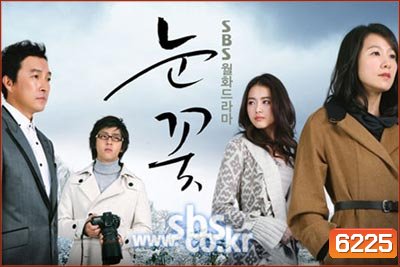 Snow Flower (แรงรัก แรงแค้น)
