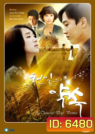 A Thousand Days Promise