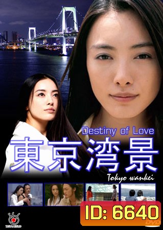 Destiny of Love (ลิขิตรักจากฟากฟ้า)