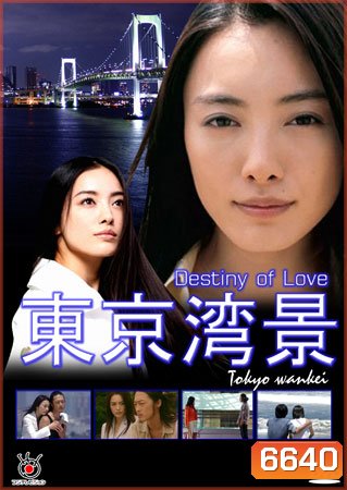 Destiny of Love (ลิขิตรักจากฟากฟ้า)
