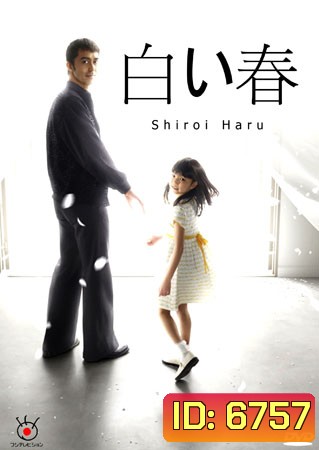 Shiroi Haru (ฤดูใบไม้ผลิสีขาว)