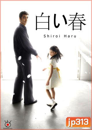 Shiroi Haru (ฤดูใบไม้ผลิสีขาว)