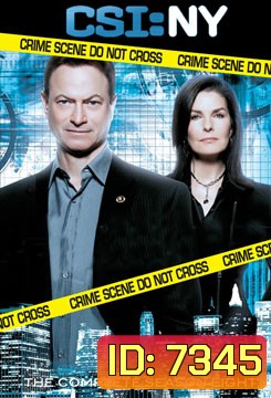 CSI New York Season 8 ไขคดีปริศนา นิวยอร์ค ปี 8