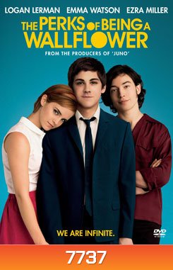 Perks Of Being A Wallflower วัยป่วนหัวใจปึ้ก