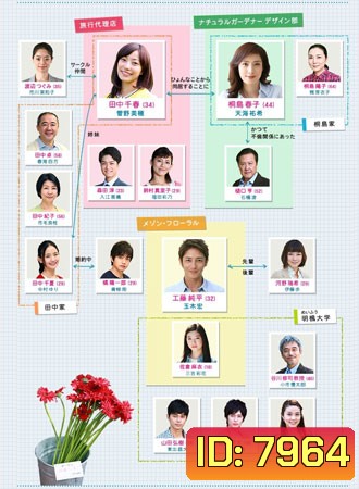 Kekkon Shinai / Wonderful Simple Life