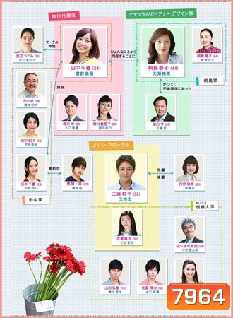 Kekkon Shinai / Wonderful Simple Life