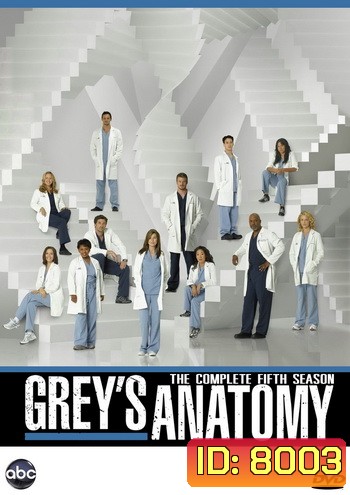 Grey's Anatomy Season 5 แพทย์มือใหม่หัวใจเกินร้อย ปี 5