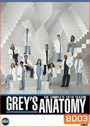 Grey's Anatomy Season 5 แพทย์มือใหม่หัวใจเกินร้อย ปี 5