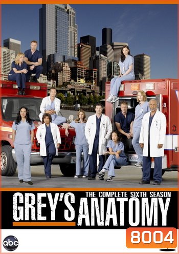 Grey's Anatomy Season 6 แพทย์มือใหม่หัวใจเกินร้อย ปี 6