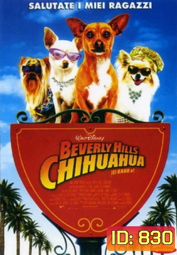 BEVERLY HILLS CHIHUAHUA คุณหมาไฮโซ โกบ้านนอก